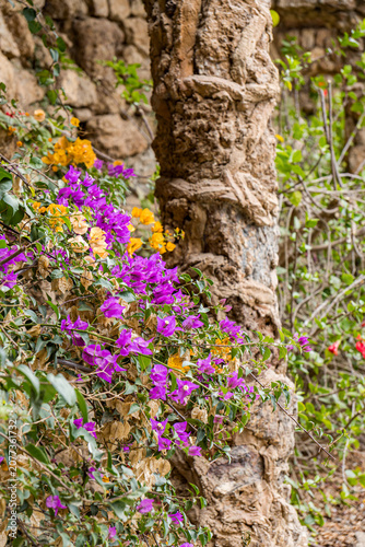 Barcelona park architecture with colorful bougainvillea flowers