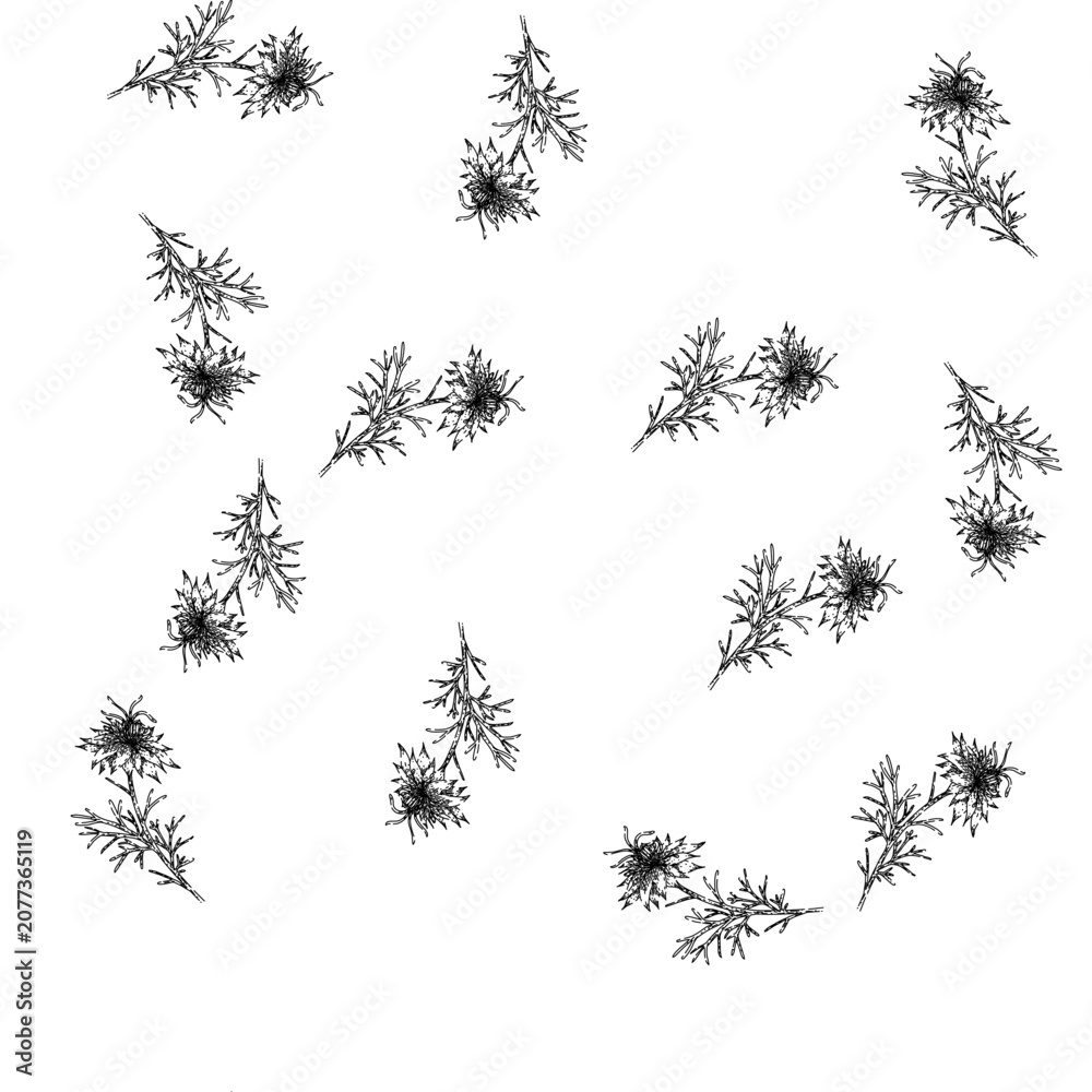 Fototapeta premium seamless pattern medicine nigella sativa hand drawn. petal caraway, oil plant, asian health medicine nigella sativa black sketch illustration