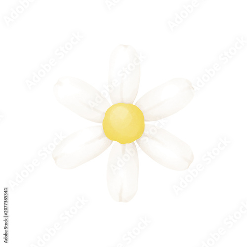 Simple Daisy Flower Illustration