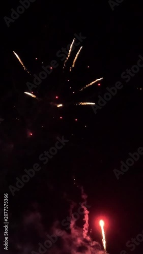 The colorful lights of the fireworks on New Year. Beautiful firework in the night.
