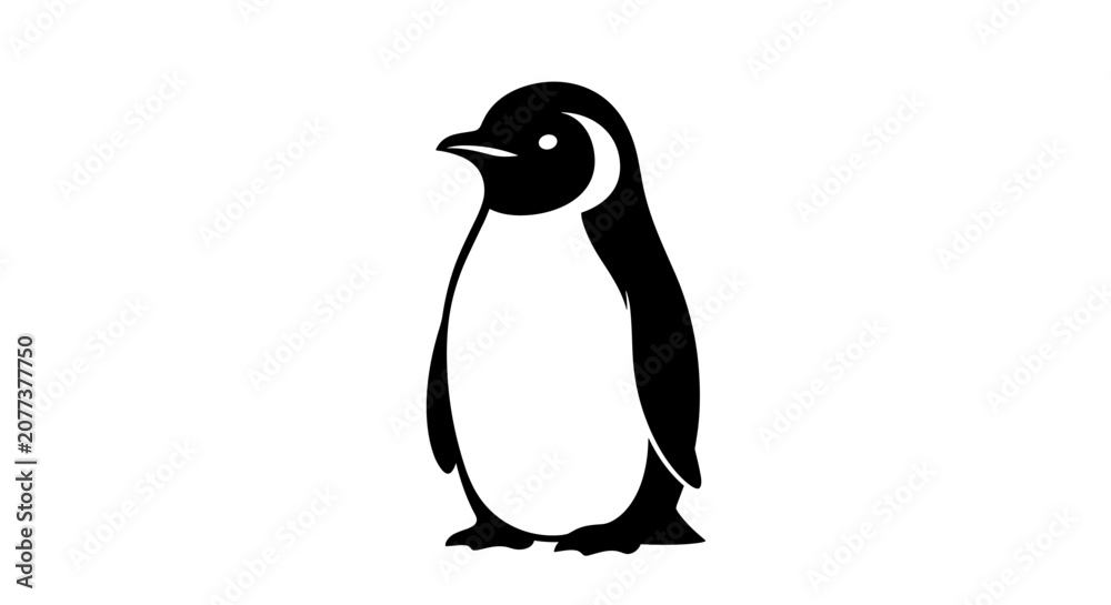 Obraz premium Black and white penguin standing 2.