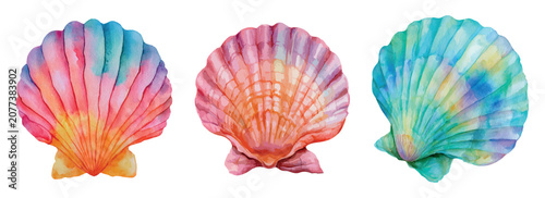 Tableau sur toile Vibrant watercolor shells collection showcasing a trio of colorful scallop mollu