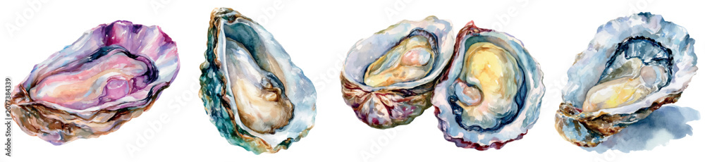 Obraz premium Oysters watercolor illustration presenting opened bivalve mollusks with delicate meat, a gourmet seafood option hand painted for menu designs or culinary concepts