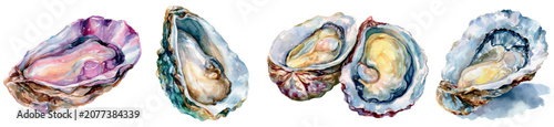 Foto Oysters watercolor illustration presenting opened bivalve mollusks with delicate
