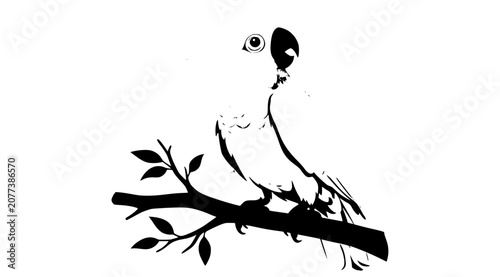 Bilde på lerret Sulphur Crested Cockatoo Chick Wildlife Vector with Raised Crest Isolated on Wh