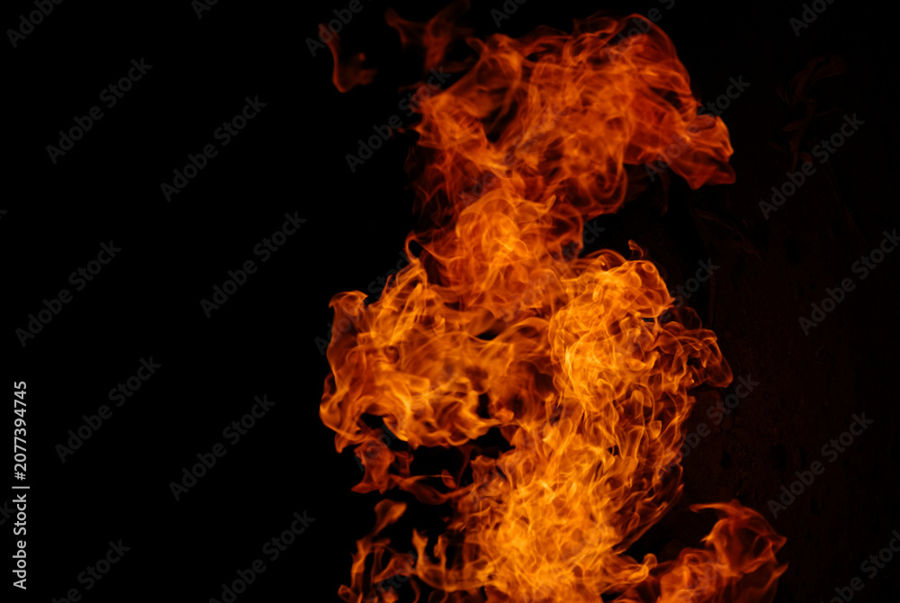 Fototapeta premium Bright orange flames rising against a dark background, illustrating fire, heat, combustion, energy, danger, and abstract fire textures with copy space.