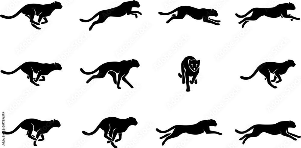 Obraz premium Cheetah Running silhouette icon set, flat black glyph style, pure white background