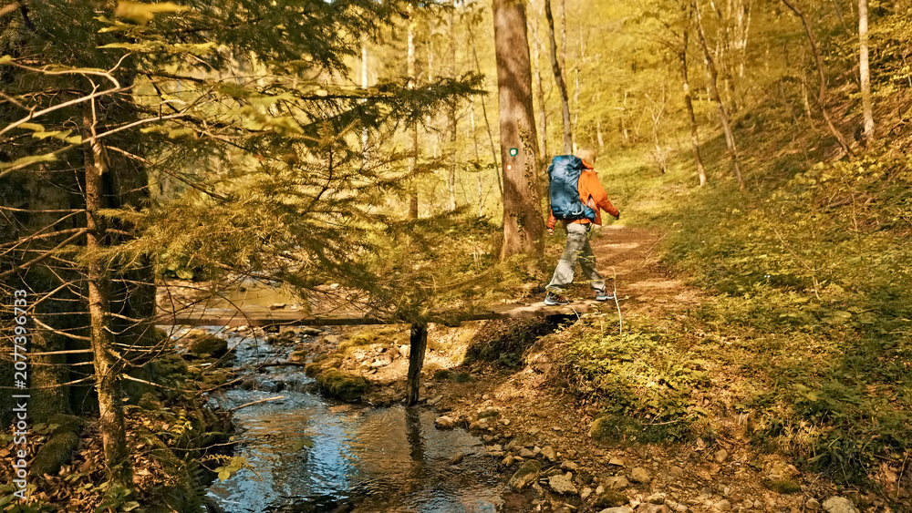 Fototapeta premium A hiker navigates a forest trail beside a flowing stream, surrounded by autumn foliage. Showing the serene beauty of nature, emphasizing purity and the outdoor experience.