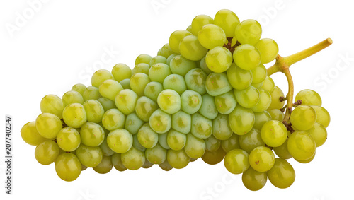 Obraz na plátně Green grapes bunch with stem