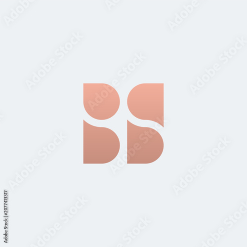 BS monogram minimalist logo