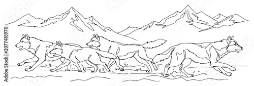 Schilderij op canvas Wolf pack running in mountains continuous line drawing, wildlife predators in wi