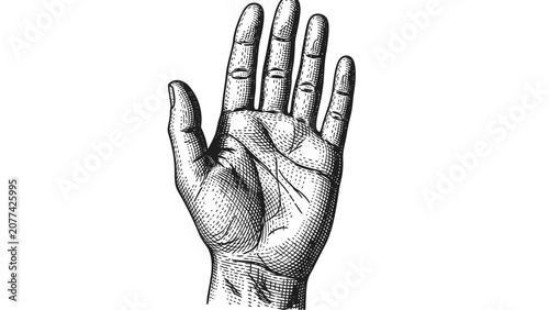 Foto Palmistry Reading Hand Illustration Vintage Engraving