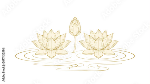 Two Blooming Lotus Flowers with Bud in Pond Water Ripple Illustration