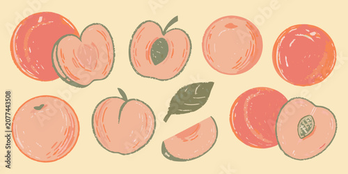 Tableau sur toile Peaches vector illustration with various arrangements and a single leaf