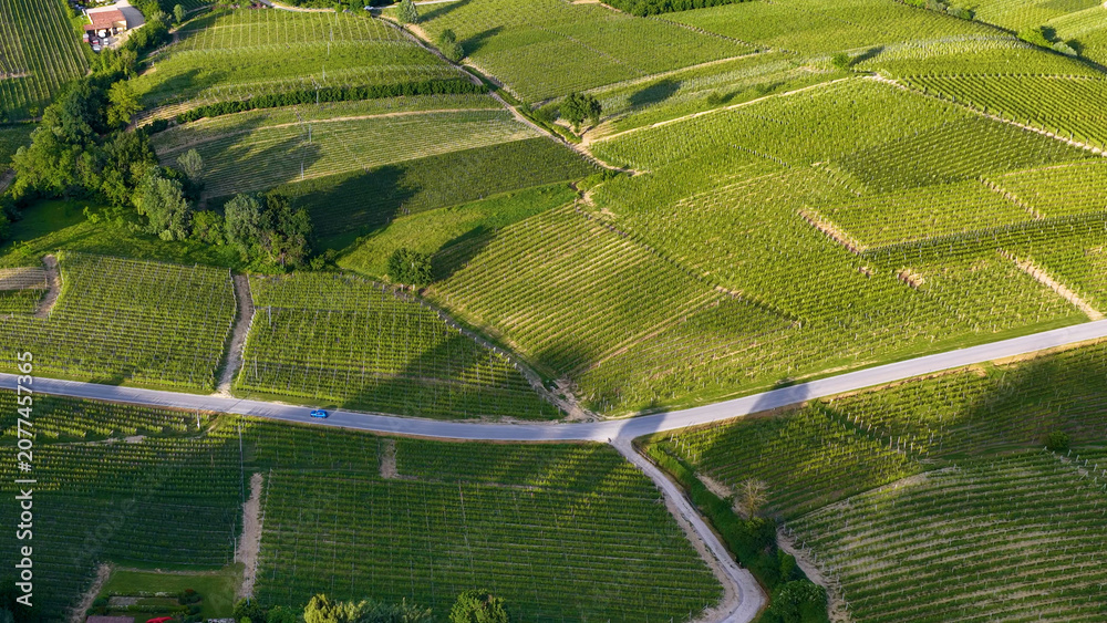 Fototapeta premium Aerial View of Lush Green Vineyards and Rural Roads in Piedmont Italy