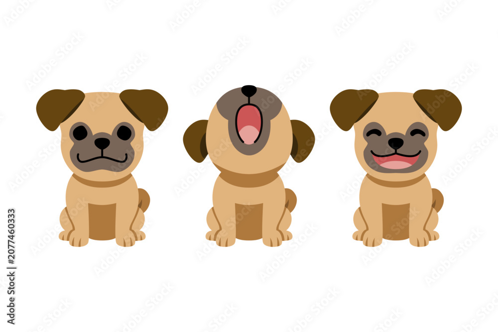 Fototapeta premium Cute pug dog mascot set with different facial expressions vector illustration