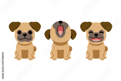 Cute pug dog mascot set with different facial expressions vector illustration