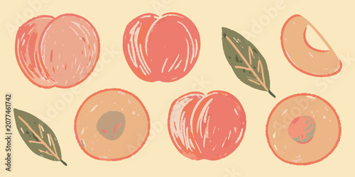 Tableau sur toile Peaches Vector Illustration Of Peaches With Leaves And Sliced Fruit