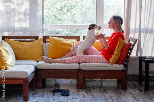 Woman relaxing on a wooden sofa and playing with her terrier dog at home. Leisure time with favorite pet in cozy living room. Domestic life and friendship between owner and animal.