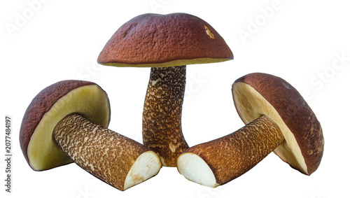 Foto Brown cap mushrooms with textured stems and pale gills