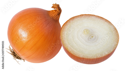 Fotografie Whole yellow onion and half cut showing layers