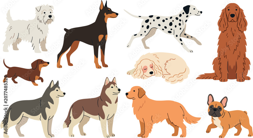 Fototapeta premium Collection of various dog breeds illustration set on black background.