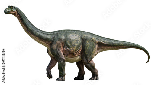 Tableau sur toile Sauropod dinosaur with long neck and tail, green and pink skin texture