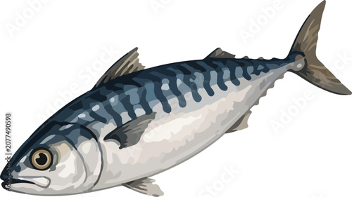 Foto Fresh Mackerel Fish Illustration Isolated Seafood Ingredient For Cooking Food De