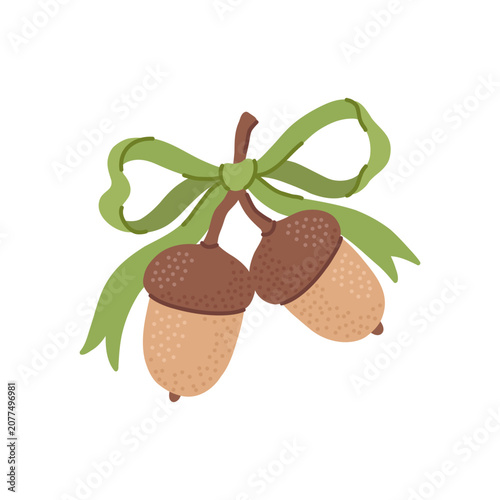 Oak tree branch with acorns decorated with green ribbon bow.  Autumn holiday decorative element, fall season decor. Isolated flat vector clipart