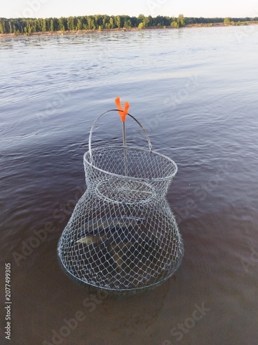 fish, fishing