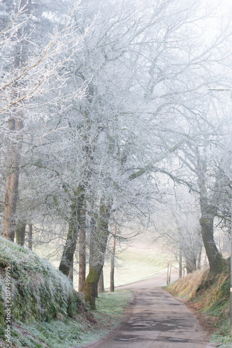 early morning romantic view of country road in winter , Italy
