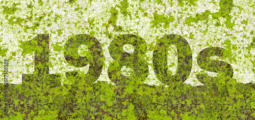 Obraz na plátně 1980s Eighties Typography Covered with Natural Green Moss on Weathered Clay Bric