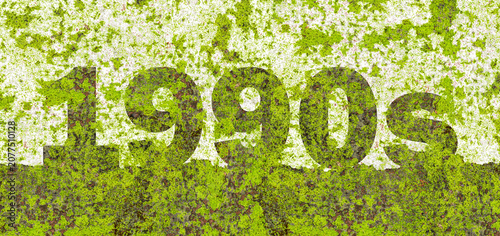 Obraz na plátně 1990s Nineties Typography Covered with Natural Green Moss on Weathered Clay Bric