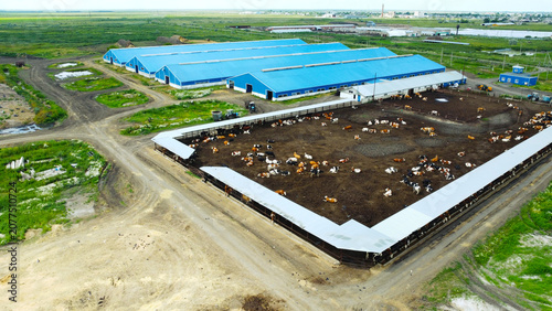Φωτογραφία Aerial View of Dairy Cows in an Outdoor Pen at a Modern Livestock Farm