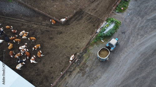 Obraz na plátně Aerial High Angle View of a Tractor with Feed Mixer at a Dairy Farm Corral