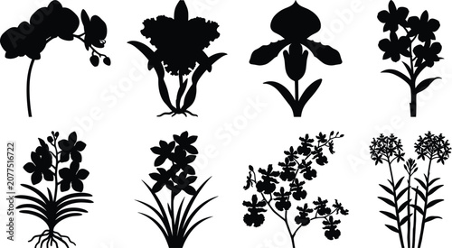 Принти на полотні Collection of orchid flower silhouettes featuring various popular botanical vari