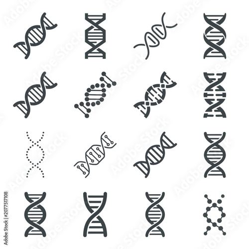 Photos Minimalist DNA Double Helix and Chromosome Structure Illustration in Monochrome