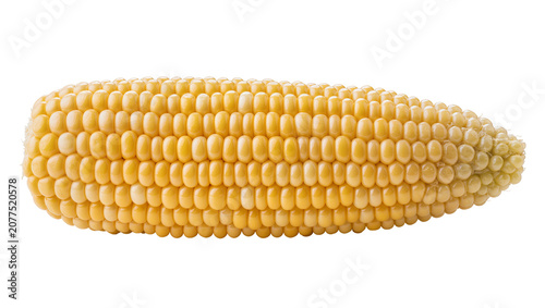 Fresh yellow corn cob with kernels