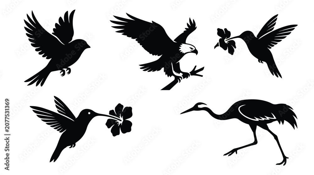 Fototapeta premium Black bird silhouettes set, flying eagle and hummingbird vector icons, elegant crane and sparrow illustrations for nature logos and branding