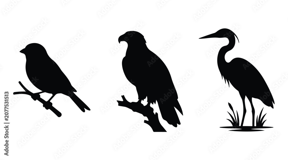 Fototapeta premium Black bird silhouettes set, wild eagle and heron vector icons, 3 bird species collection on white background for nature logo design