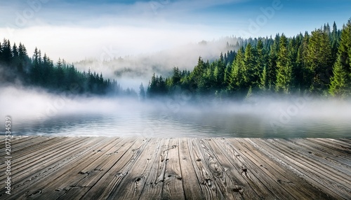 Amazing Wood Covered With Mist