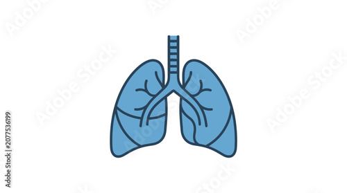 Human lungs anatomy medical illustration.