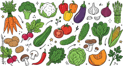Vegetables cartoon vector doodle illustration set with fresh carrot broccoli bell pepper tomato cucumber pumpkin spinach potato mushroom corn isolated on white background