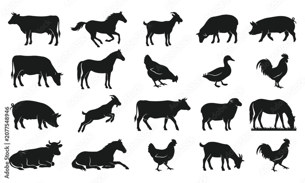 Obraz premium Farm Animals and Poultry Silhouette Collection Vector Set