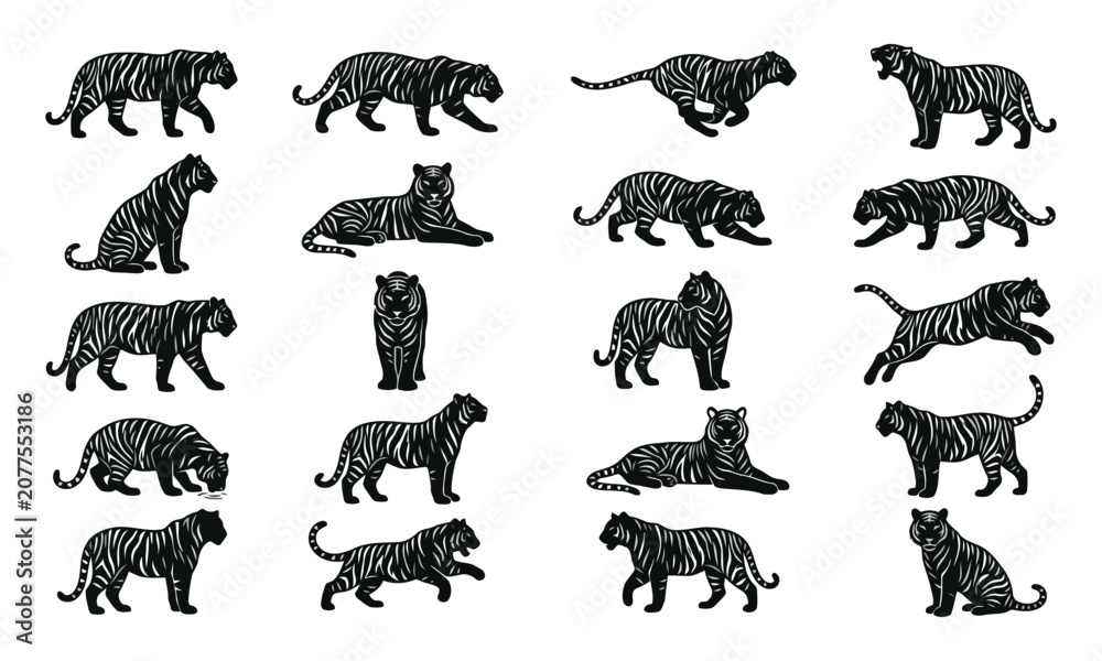 Obraz premium Collection of Tiger Silhouette Poses and Action Set Vector Illustration