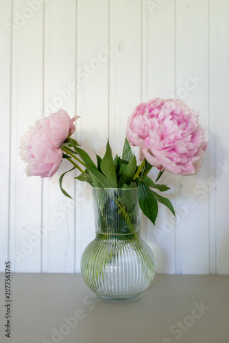 serene pink peonies arranged in a clear glass vase against white wooden paneling for elegant home decor and editorial use cases with vivid colors and clean background.