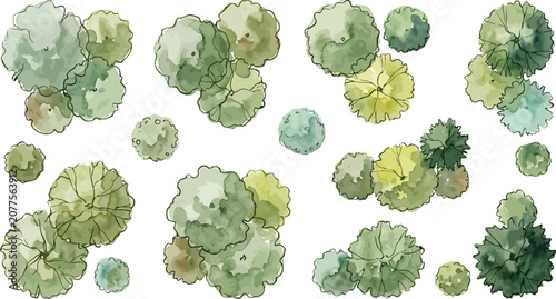 Set of watercolor tree top view elements for architectural landscape design plans and site map illustrations