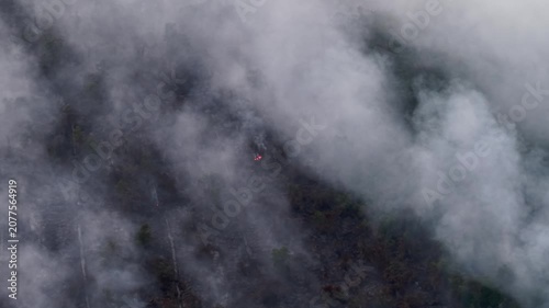 Aerial view of wildfire smoke rising over dark forest