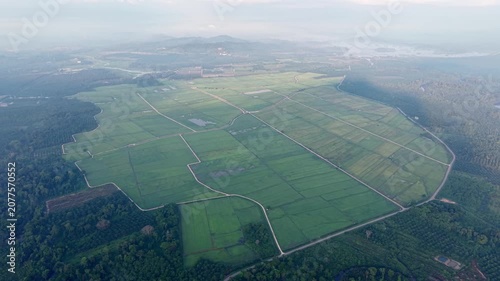 Aerial view of lush green fields divided by paths