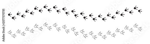 Obraz na płótnie Frog footprint trail set with solid and outline animal paw track vector